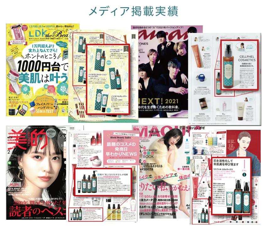 CELLPHEL　セルフィル　メディア掲載情報