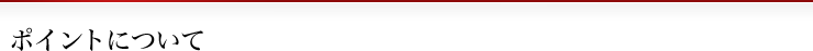 ポイントについて