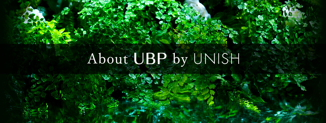 URBAN BEAUTY PRODUCTS by UNISHについて