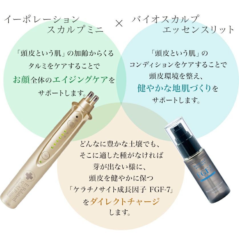 イーポレーション・スカルプミニ　先端